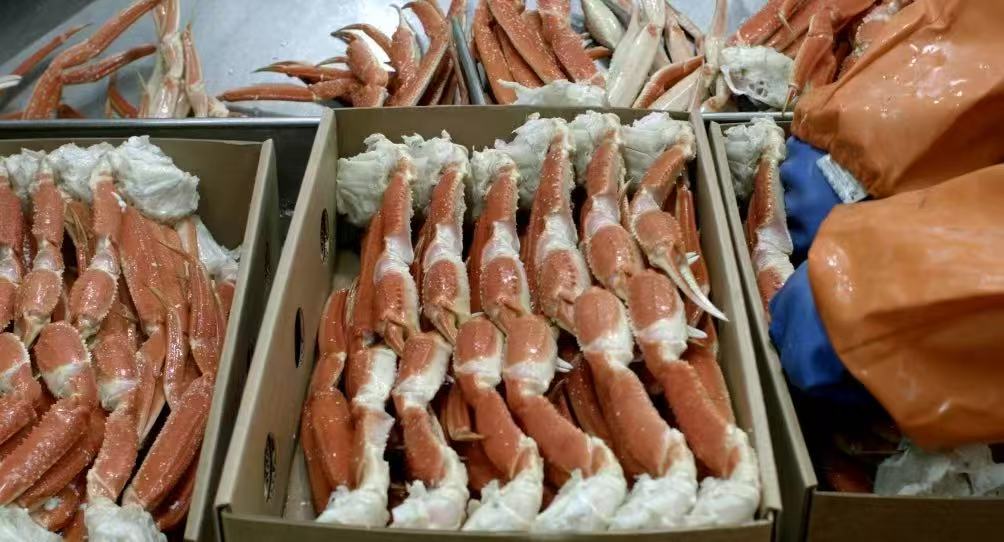 Wax-Coated Cartons: The Gold-Standard Packaging for Global Frozen & Seafood Export Cold Chain Logistics