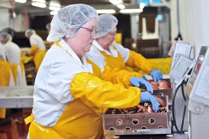 Sustainable Packaging Evolution in the Seafood Export Industry: Balancing Protection, Cost and Environmental Goals