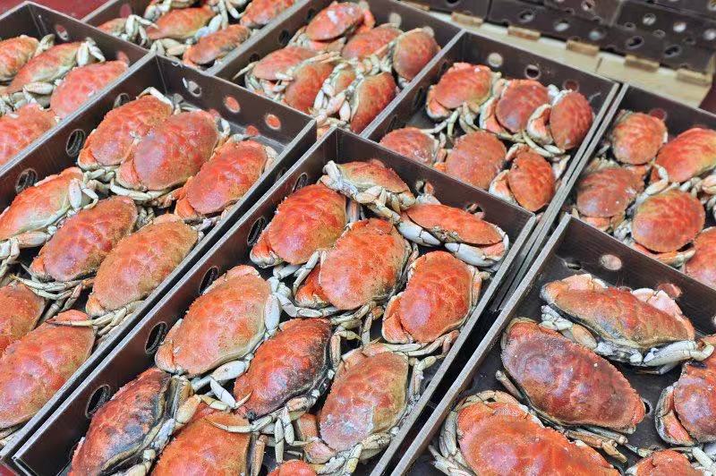 Practical Tips to Select Wax-Coated Cartons for Cold Chain Seafood Export