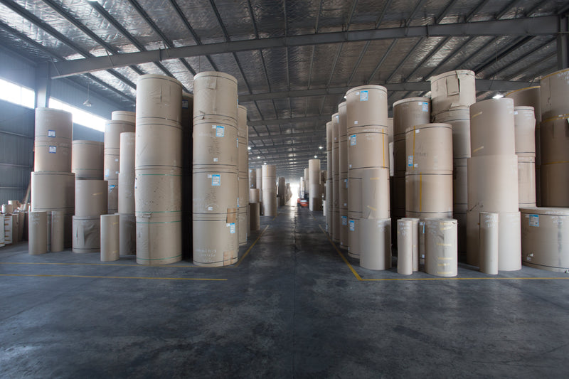 How Proper Cold-Chain Packaging Cuts Down Your Total Export Supply Chain Cost